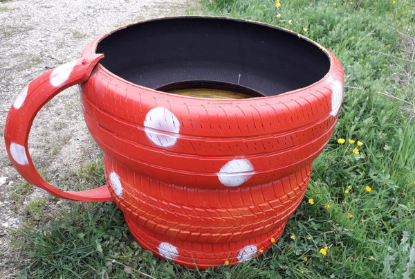 Générations Jardin'âges