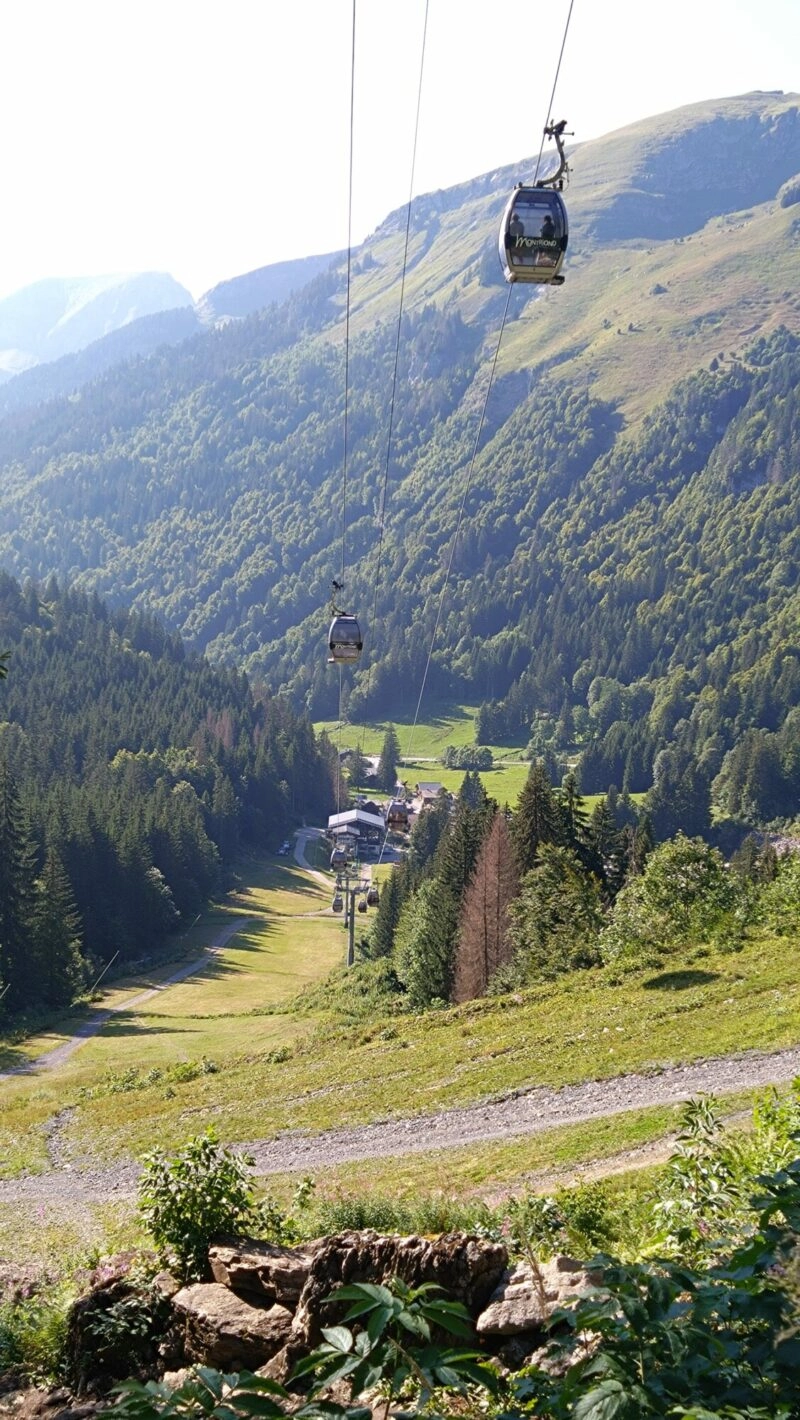 Lindarets DSC 3200