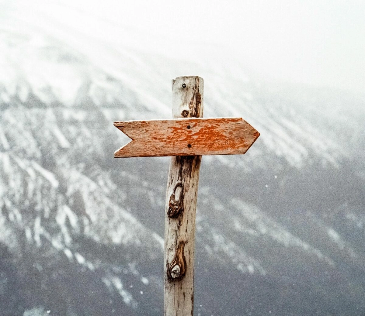 Pexels Jens Johnsson 14223 66100