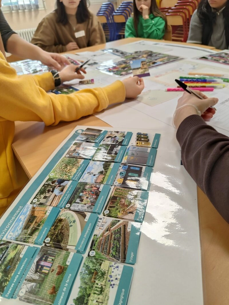 végétalisation collège 4