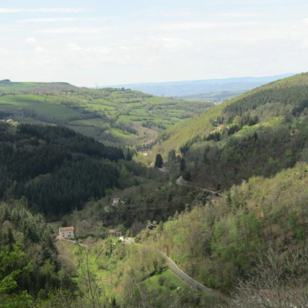 Élaboration de la stratégie d’adaptation et d’un plan d’actions
