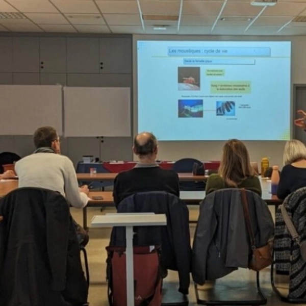 Mobilisation citoyenne dans la prévention du moustique tigre